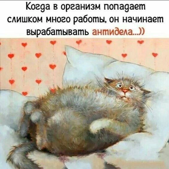 🌸 Женский Клуб — Подписаться