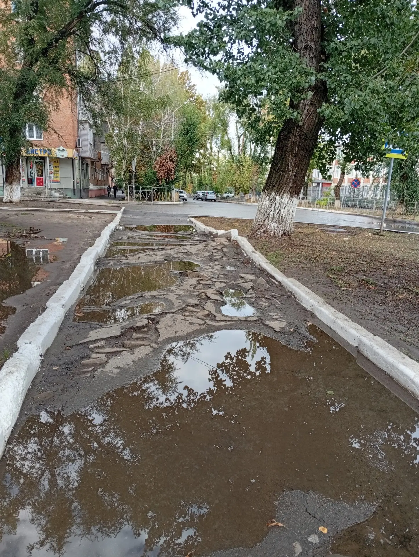 Тротуар возле педколледжа - не только ямы, но и горы)