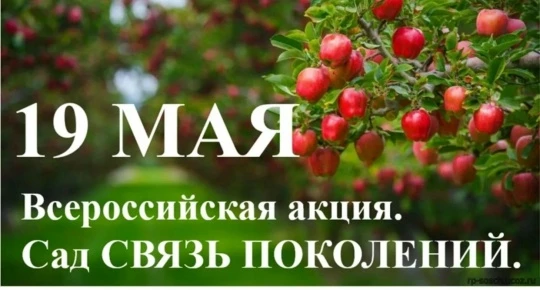 Сегодня активисты нашей школы приняли участие во всероссийской акции «Сад-связь поколен...