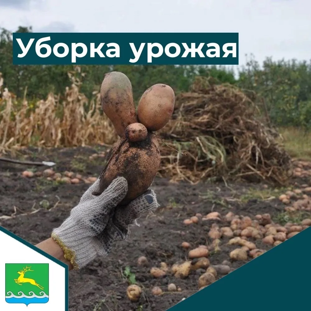 📍11 сентября в Пий-Хеме объявлен выходным днём