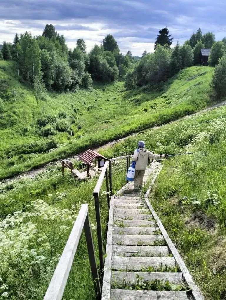 🌾 Обработка от клещей

Специалисты центра гигиены и эпидемиологии в Вологодской области провели ака