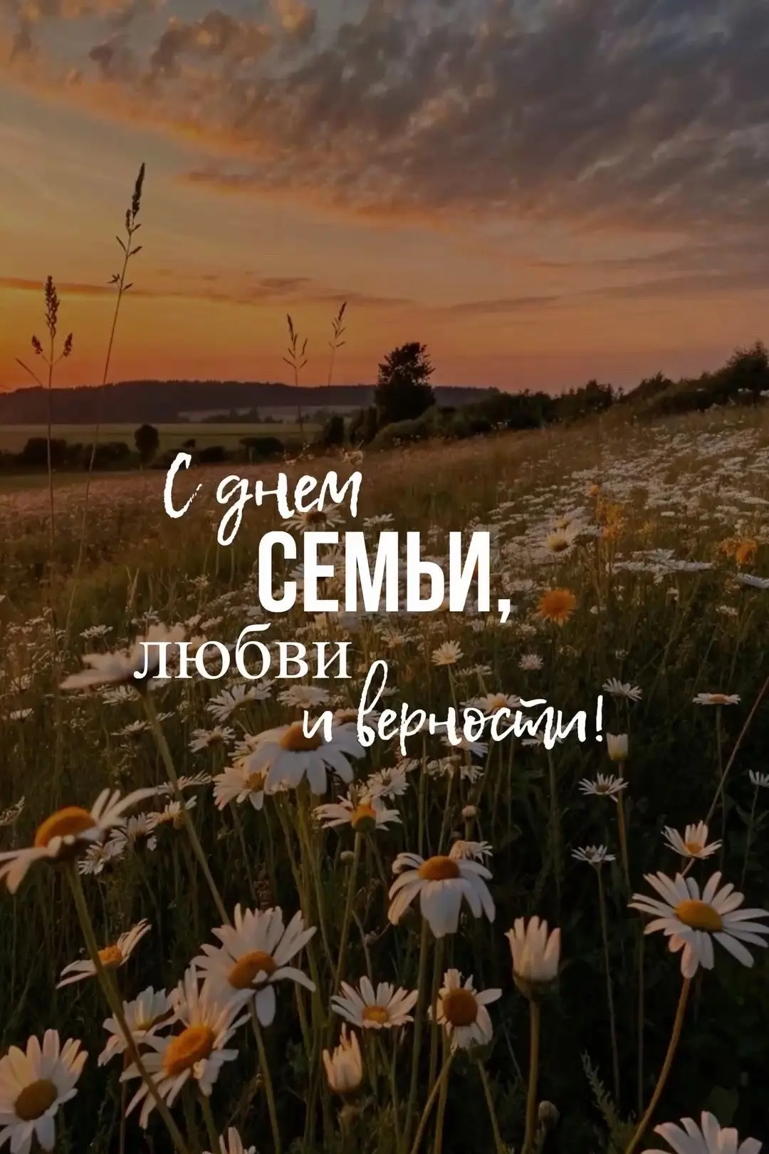 🌼День семьи, любви и верности - один из самых молодых государственных праздников России. Когда его 