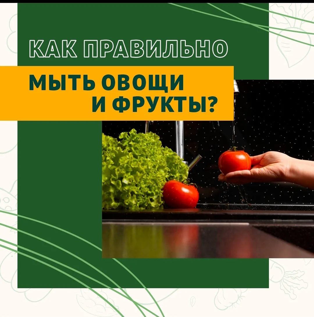 Лето — сезон овощей и фруктов 🍐🍏🍒