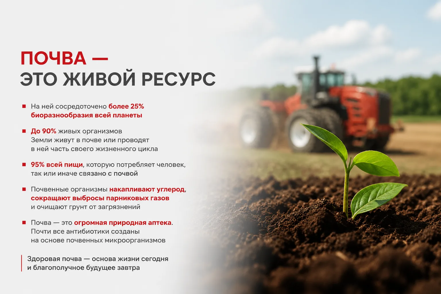 Почва — это живой ресурс, на котором сосредоточено более 25% биоразнообразия всей планеты.

До 90% ж