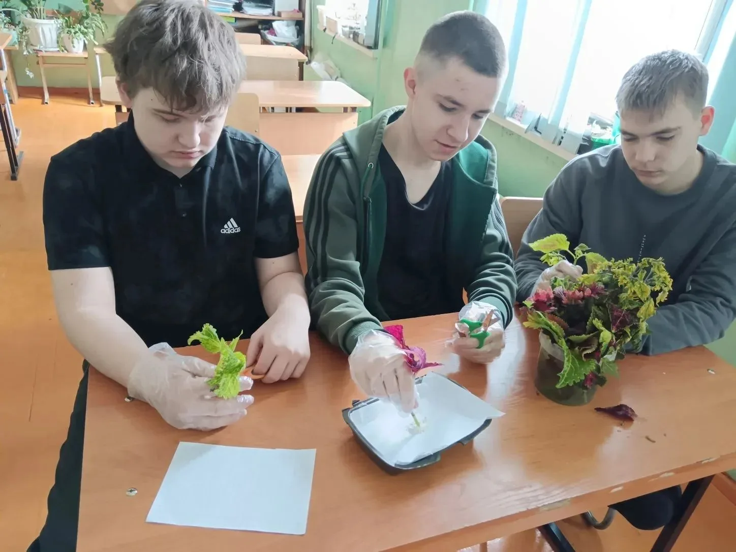 🌿 ВЕСЕННИЙ МОДУЛЬ «РАДУГА СВЕТА»: ОТ ТЕОРИИ К ПРАКТИКЕ!