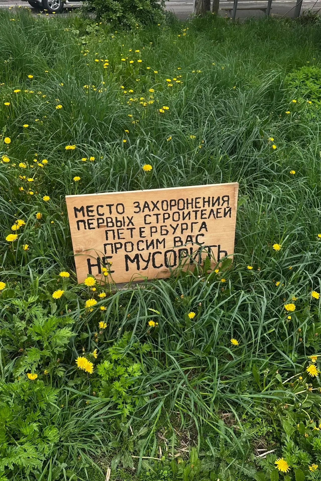 💫В конце мая у учеников 7 «Б» была организована встреча с антропологом, старшим научны...
