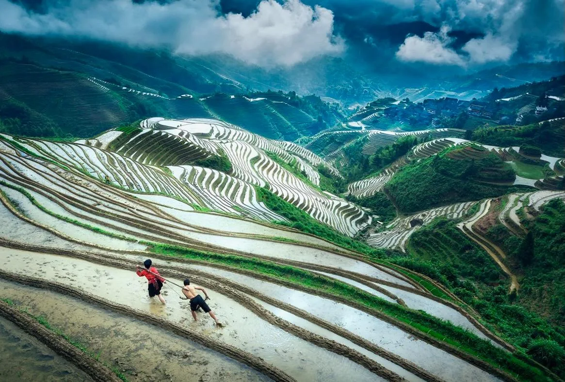Рисовые террасы Лунцзи, Китай 🇨🇳  🔹 Лунцзи - одни из самых красивых рисовых террас в мире, признанны