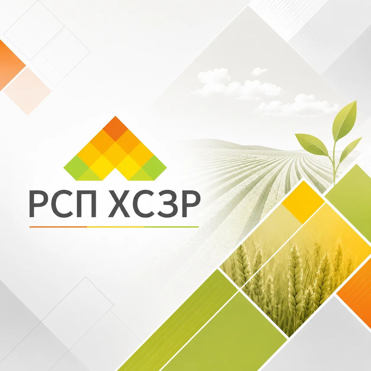 📣 Уважаемые друзья, коллеги!