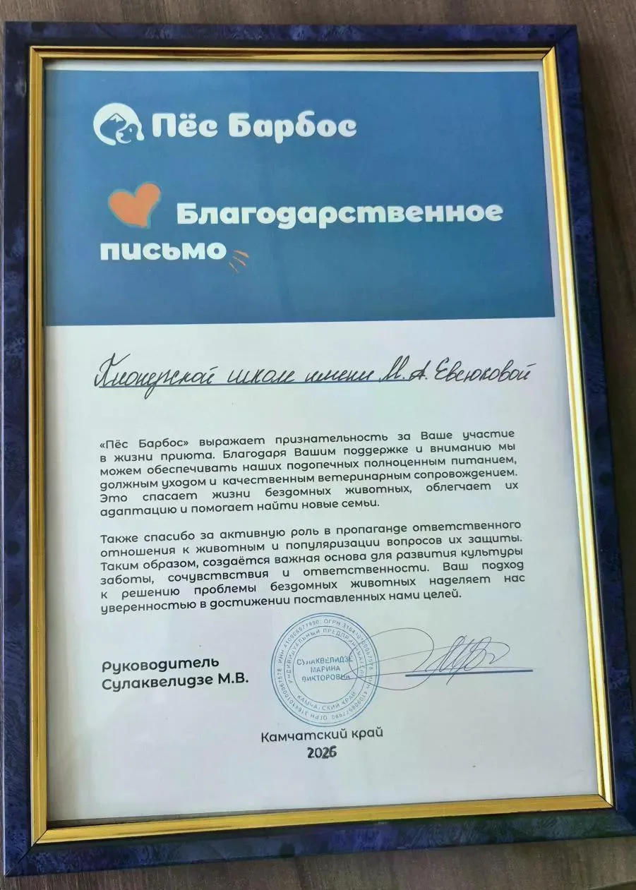 Помните, мы писали clck.ru/3T9JwK, что акция «Большая помощь маленькому другу» завершен...