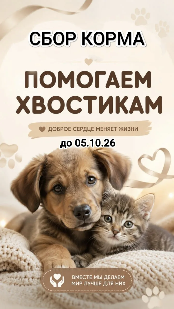 Уважаемые родители! 👋
