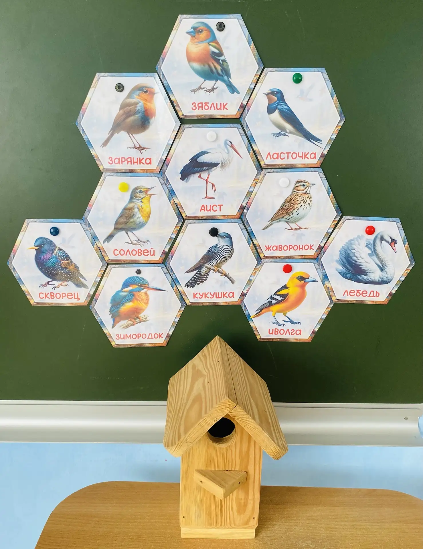 🐦🦢Занятие «Птицы – вестники весны🐦🦢