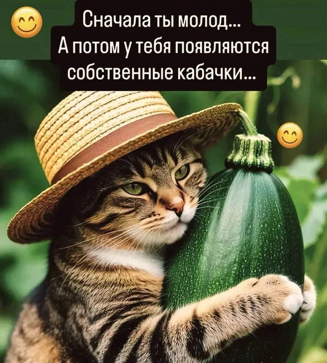 👉Юмористка