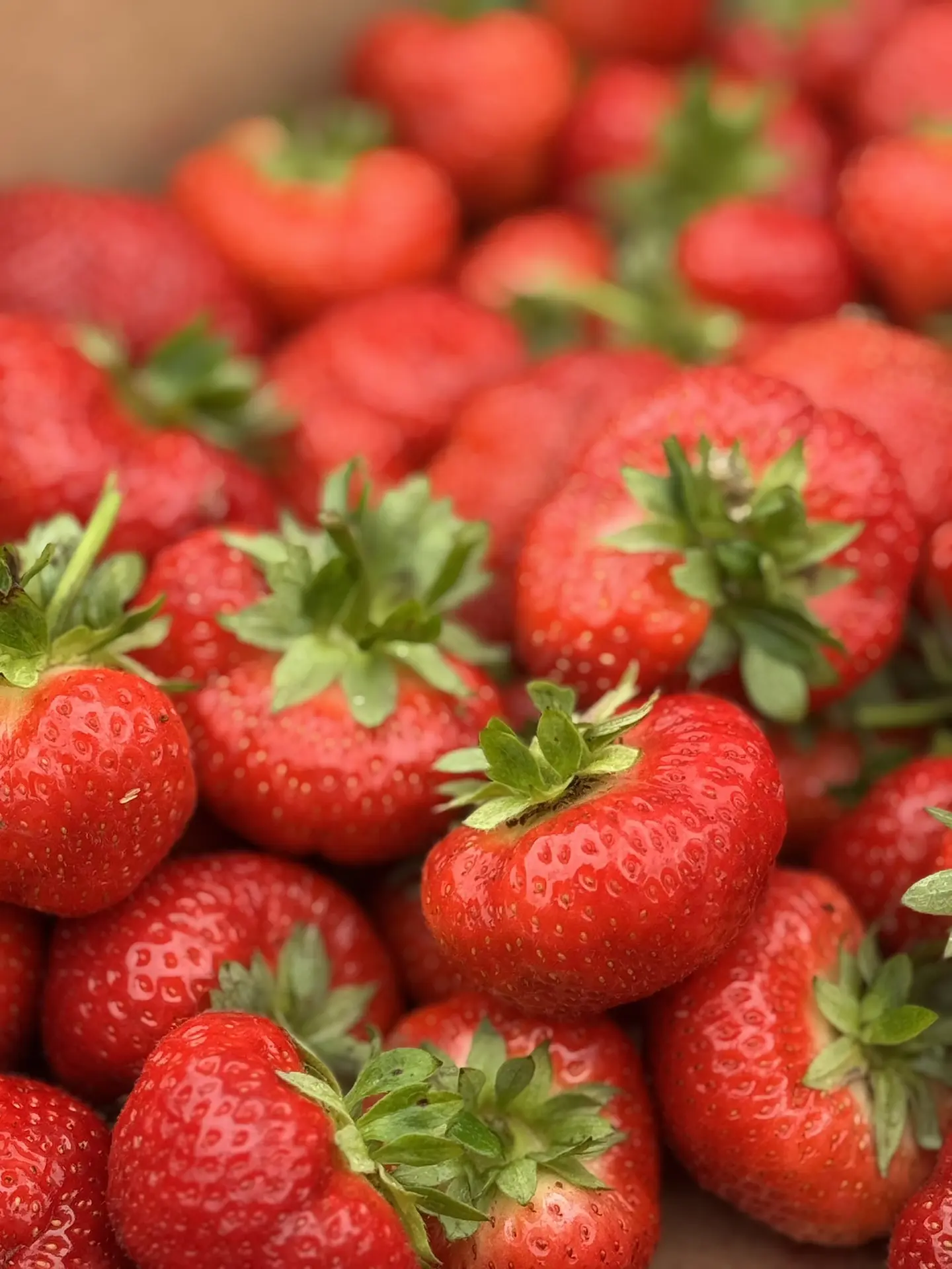 Клубничный понедельник 🍓