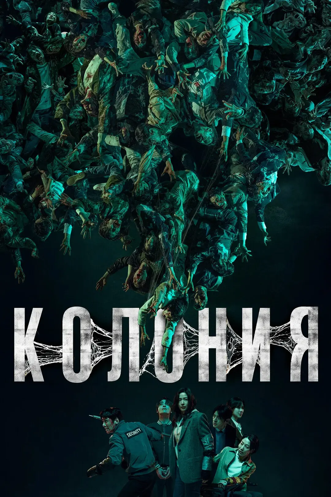 Новинка 2026