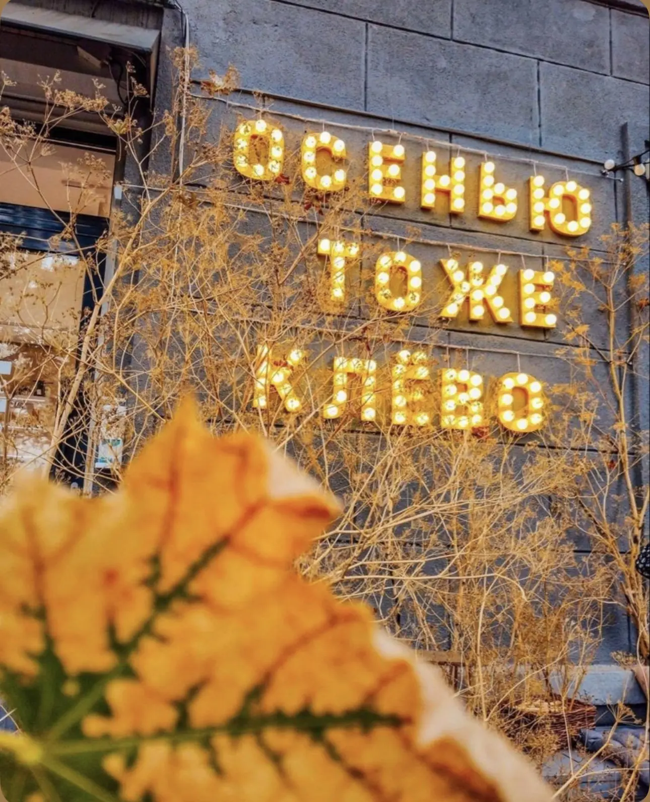 Всем доброе 🫶