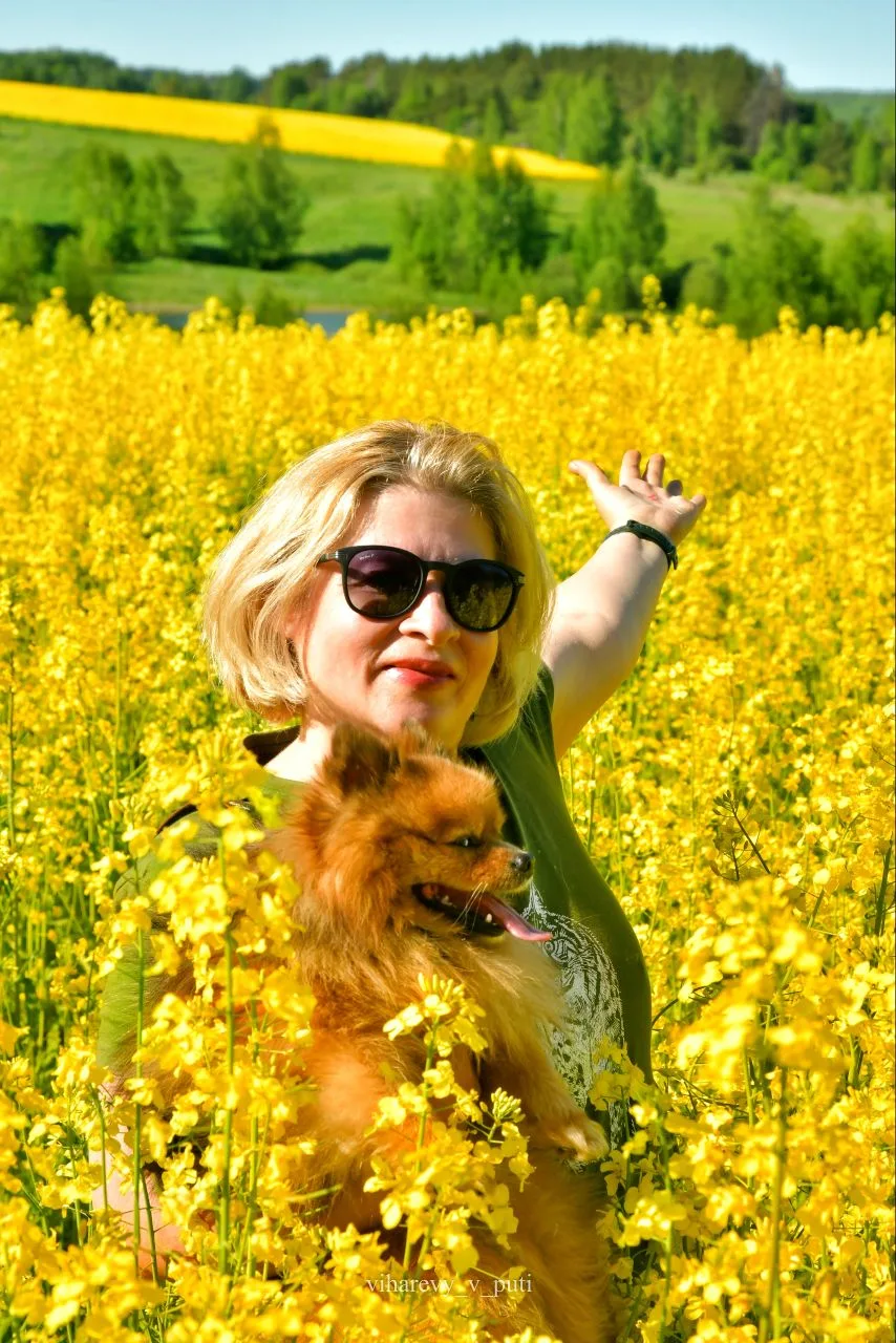 Рапсовое чудо! 🌼