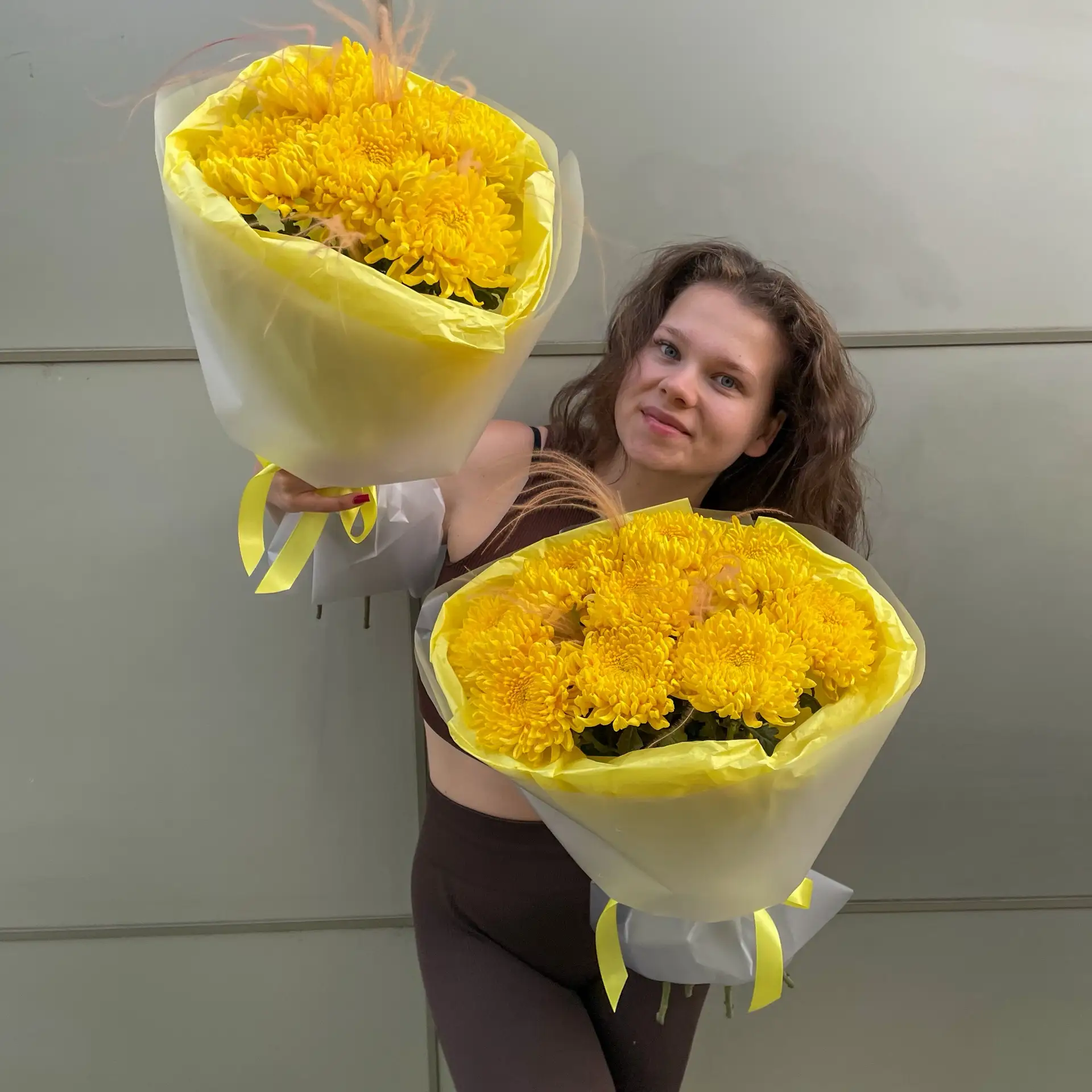 Пышные жёлтые одноголовые Хризантемы 🌼