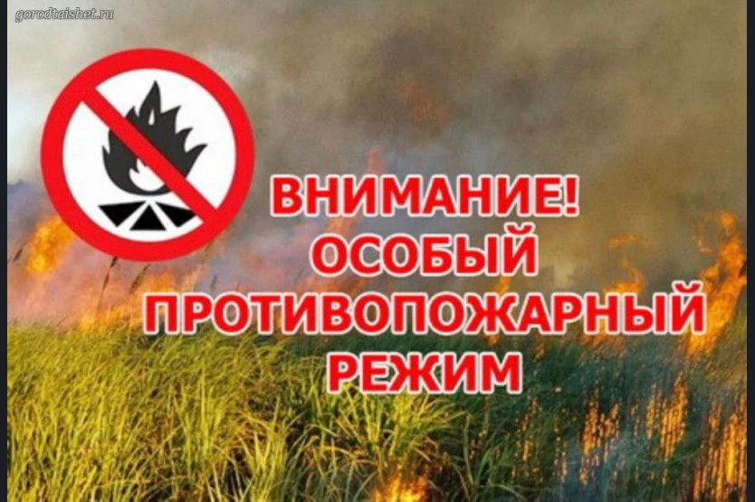 С 19 мая 2026 года на территории Грибановского  района Воронежской области введен особы...