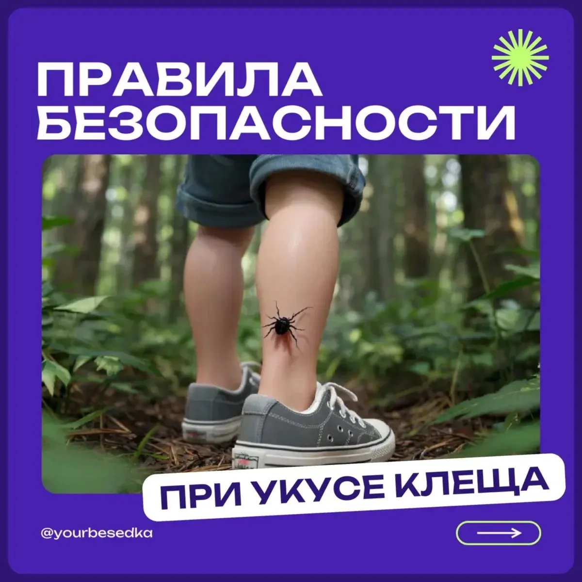 🌲 Отдыхаем на природе безопасно: как защититься от клещей? 🌿

Лето - прекрасное время для семейных