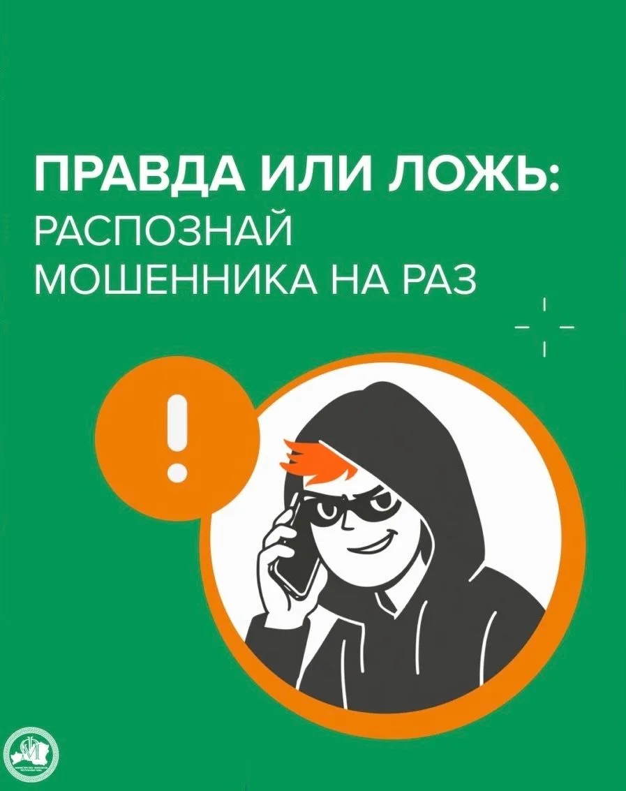 Карточки, в которых кратко зашифровали схемы мошенников. В них собраны фразы, которые т...