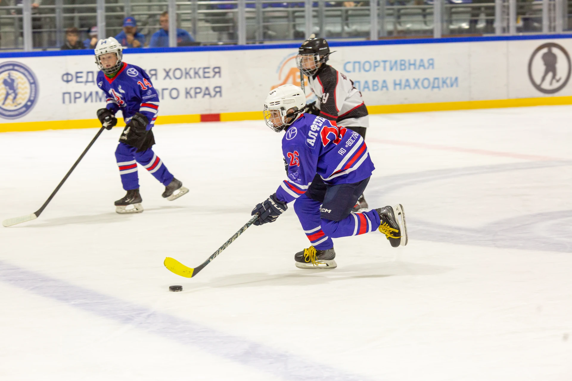 🏒 СПОРТИВНЫЙ СЕНТЯБРЬ ВОСТОЧНОГО ПОРТА: ПОБЕДЫ, МЕДАЛИ И МАРАФОН