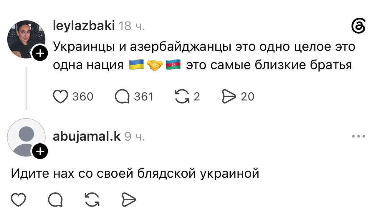 Карабахский конь свинье не товарищ