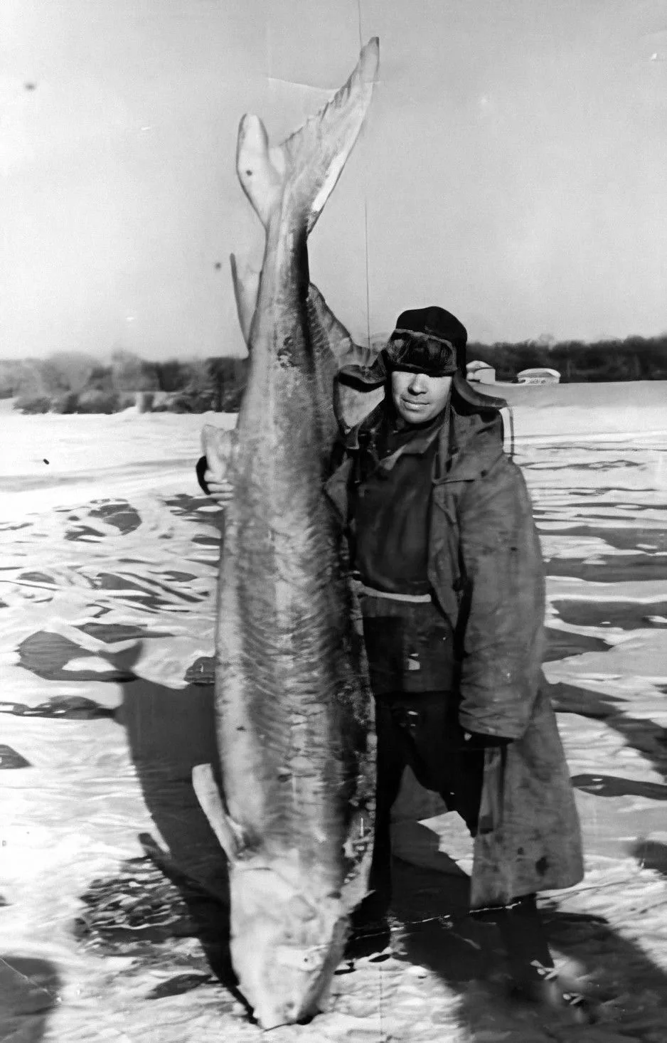 📷 Богучар. Дон. Белуга весом 123 килограмма. 6 января 1964 года