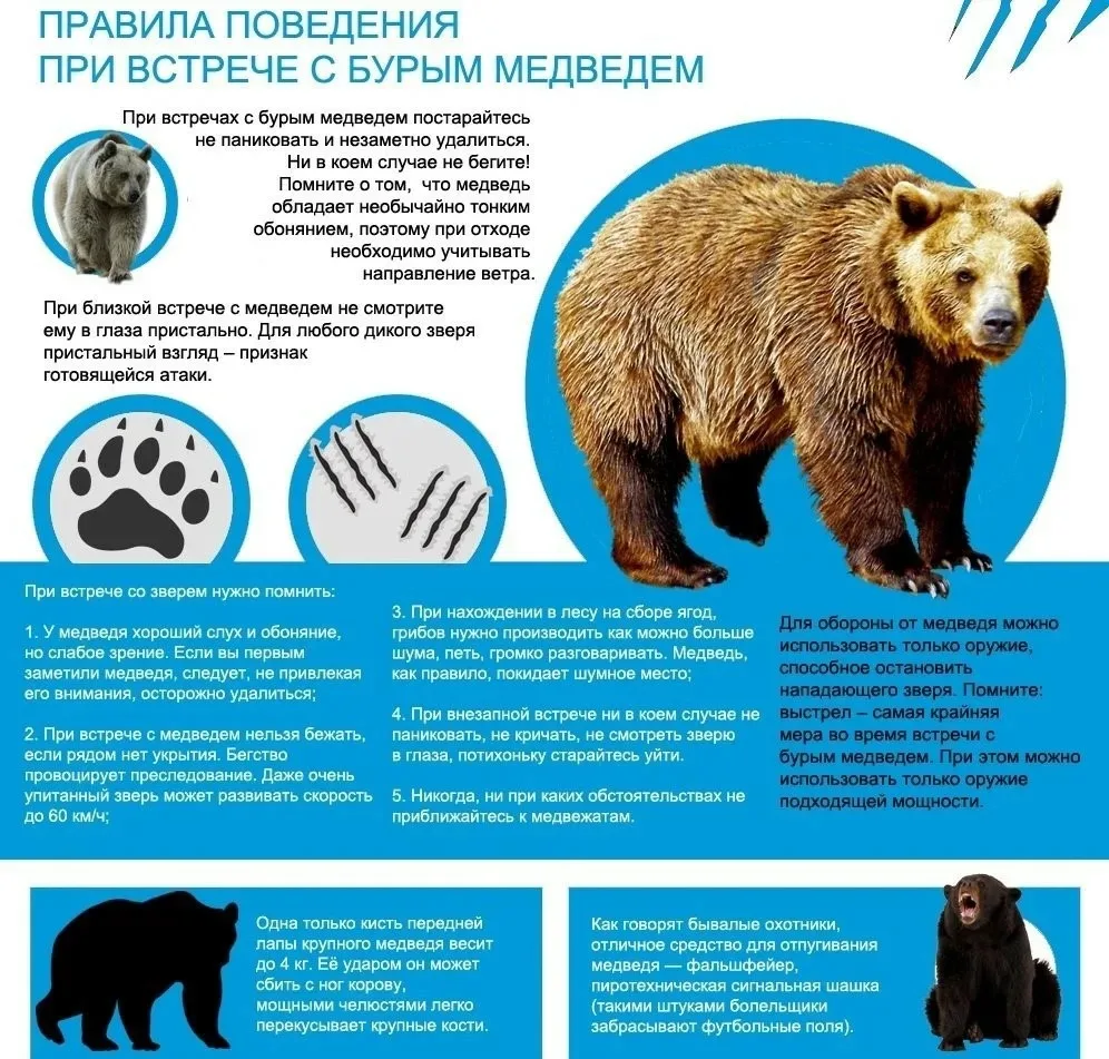 ❗️Внимание❗️