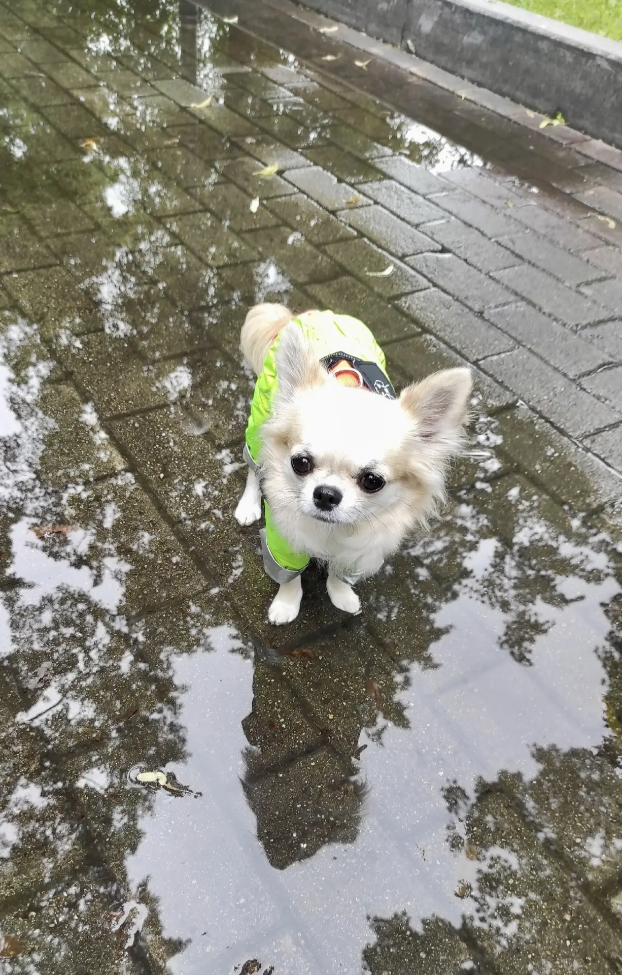 🐾🥰☺️