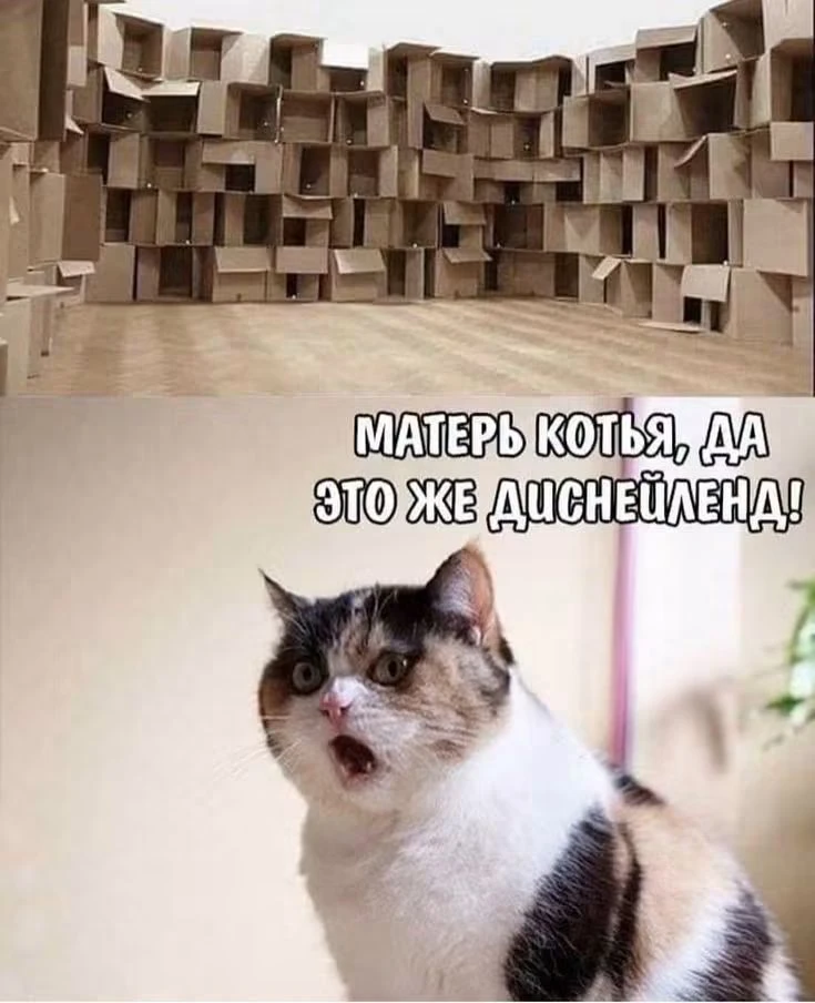 Подпишись на юмор 😂