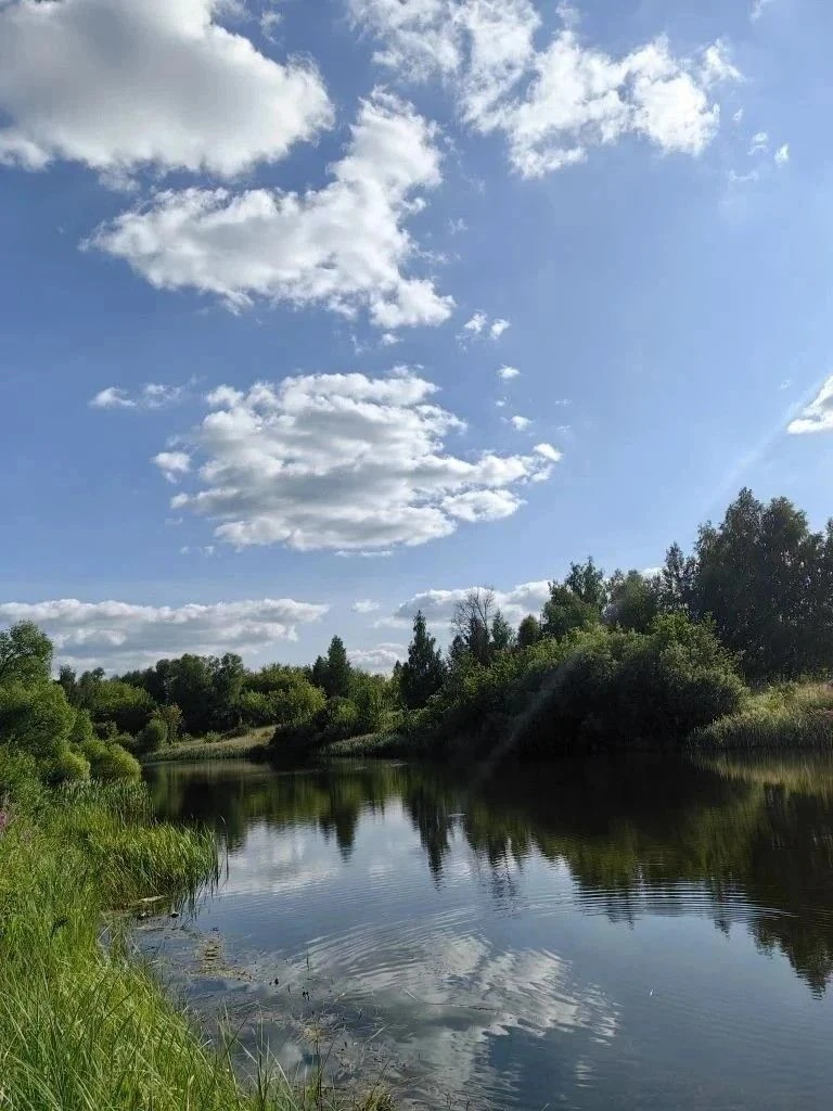 🌲Лес и водная гладь – идеальное сочетание!

Такие места напоминают нам о силе и красоте природы, о 