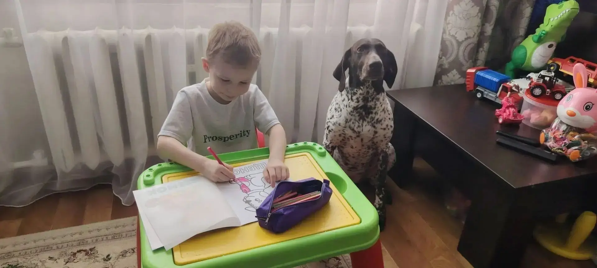 Усатые-хвостатые друзья группы «Пчёлка»!🐶🐱