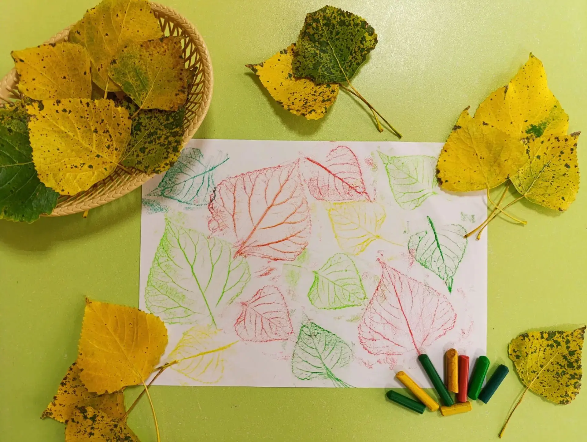 ☀️ Лето ещё с нами, а осень уже тихонько заглядывает в гости! 🍂
