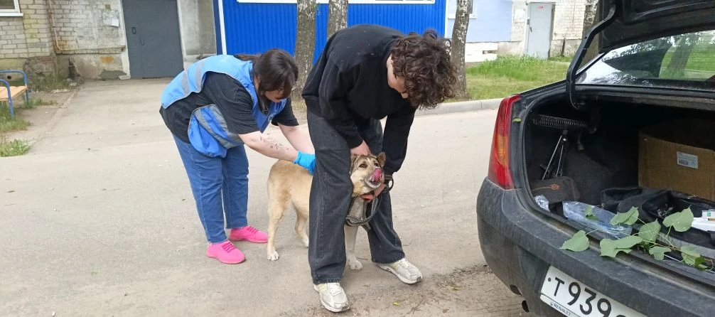 В конце мая врачи Рязанской Районной станции провели вакцинацию в поселке Варские и дер...