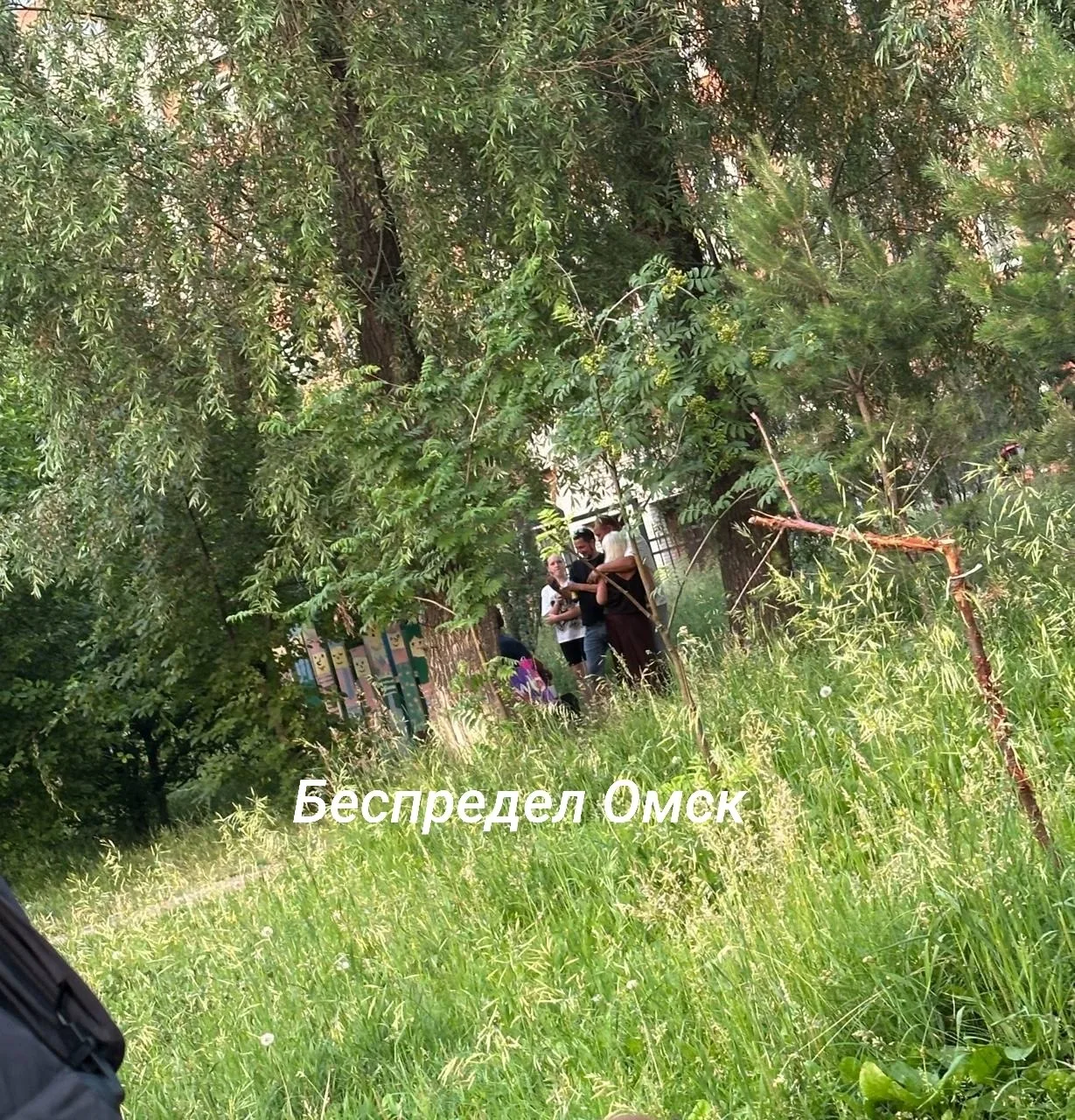На «Площади праздников» в Амуре компания перетащила центральную лавочку со сквера в кусты и уже кото