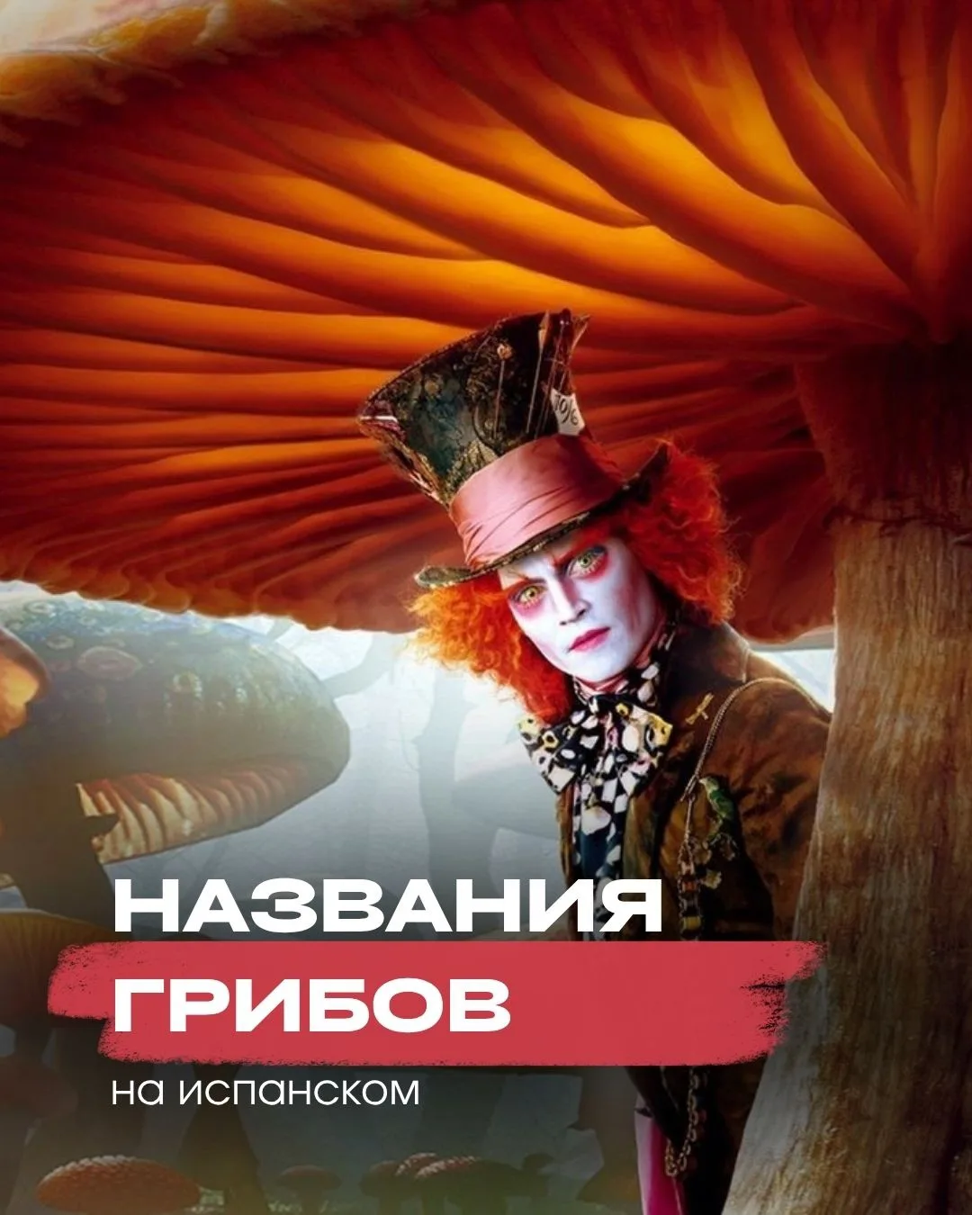 Кто бы мог подумать, что в субботний вечер мы будем рассказывать вам о названиях грибов...