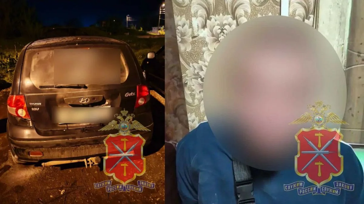 Житель Узловского района решил заработать денег на поджоге чужой машины, а получил угол...