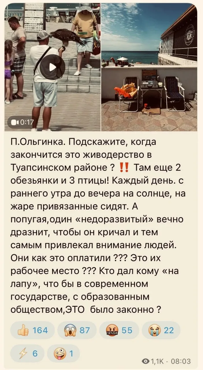 По выявленной в сети интернет публикации в Отделе МВД России по Туапсинскому району мат...