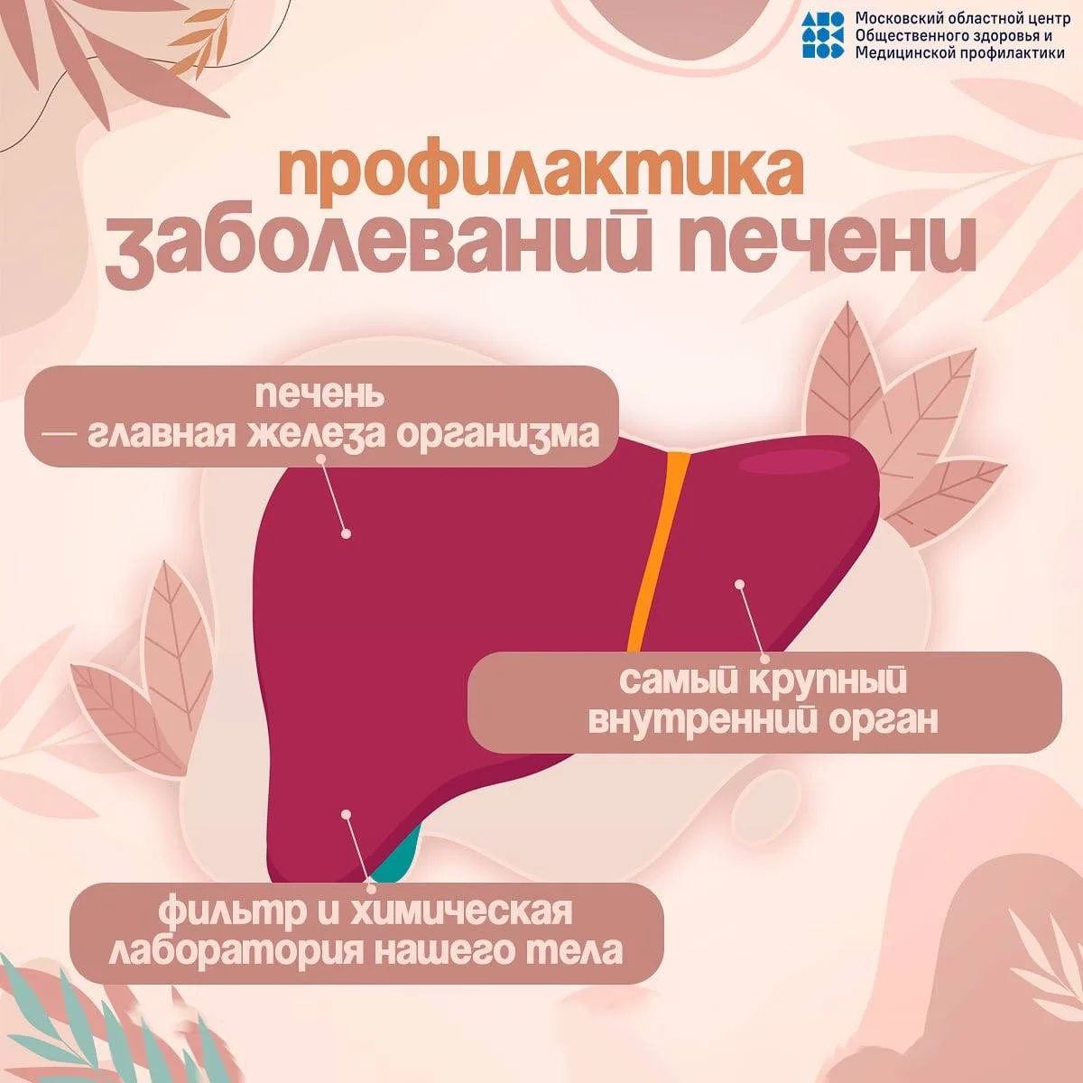 С 27 июля по 2 августа объявлена Минздравом РФ Неделей профилактики заболеваний печени

Наш природны