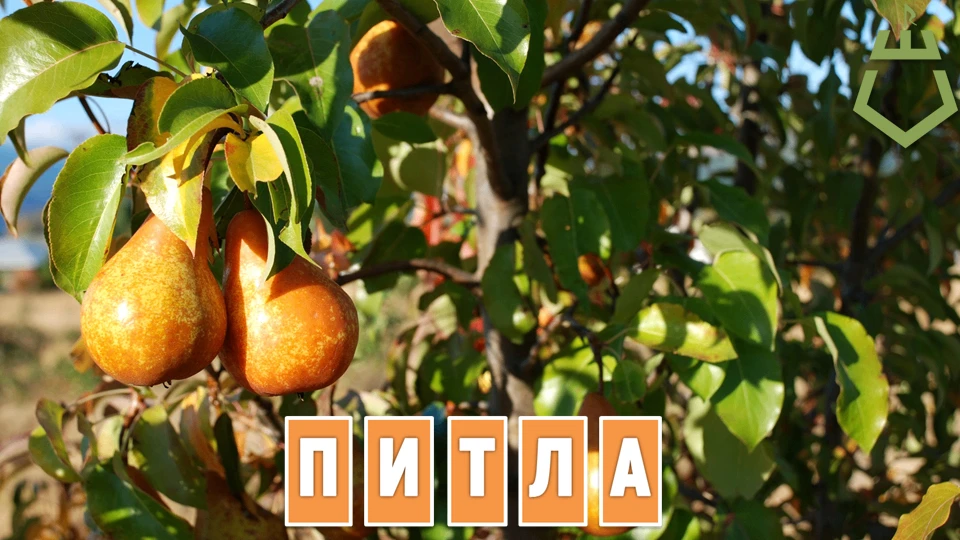 #зарядка_для_ума
