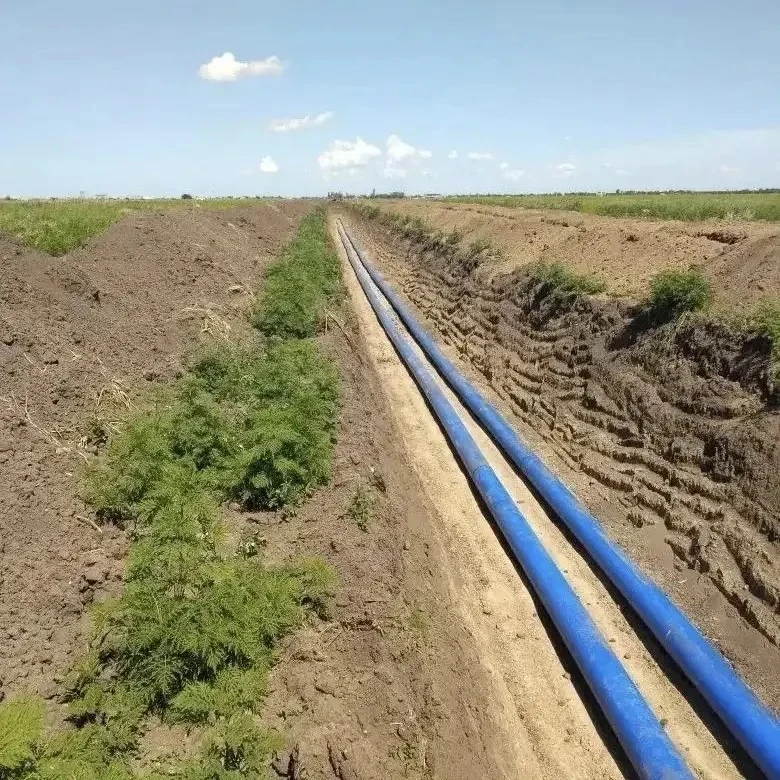 📍В Ейском районе построят современную систему водоотведения

Проект реализуют в рамках федерального