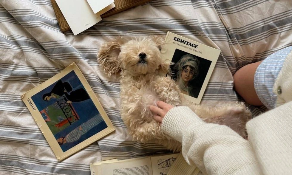 Как сказать отстань без грубого leave me alone  ⊹  .   ݁ ⟡ ݁   .  ⊹

• Can we talk later? 
• Давай п