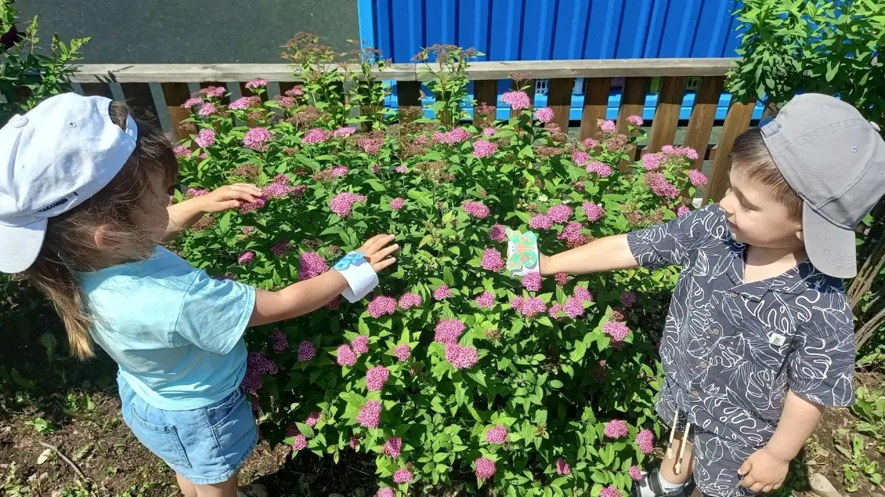 🌿 День огорода и цветника «Во саду ли, в огороде»!

Сегодня ребята из группы «Бусинки» с головой по