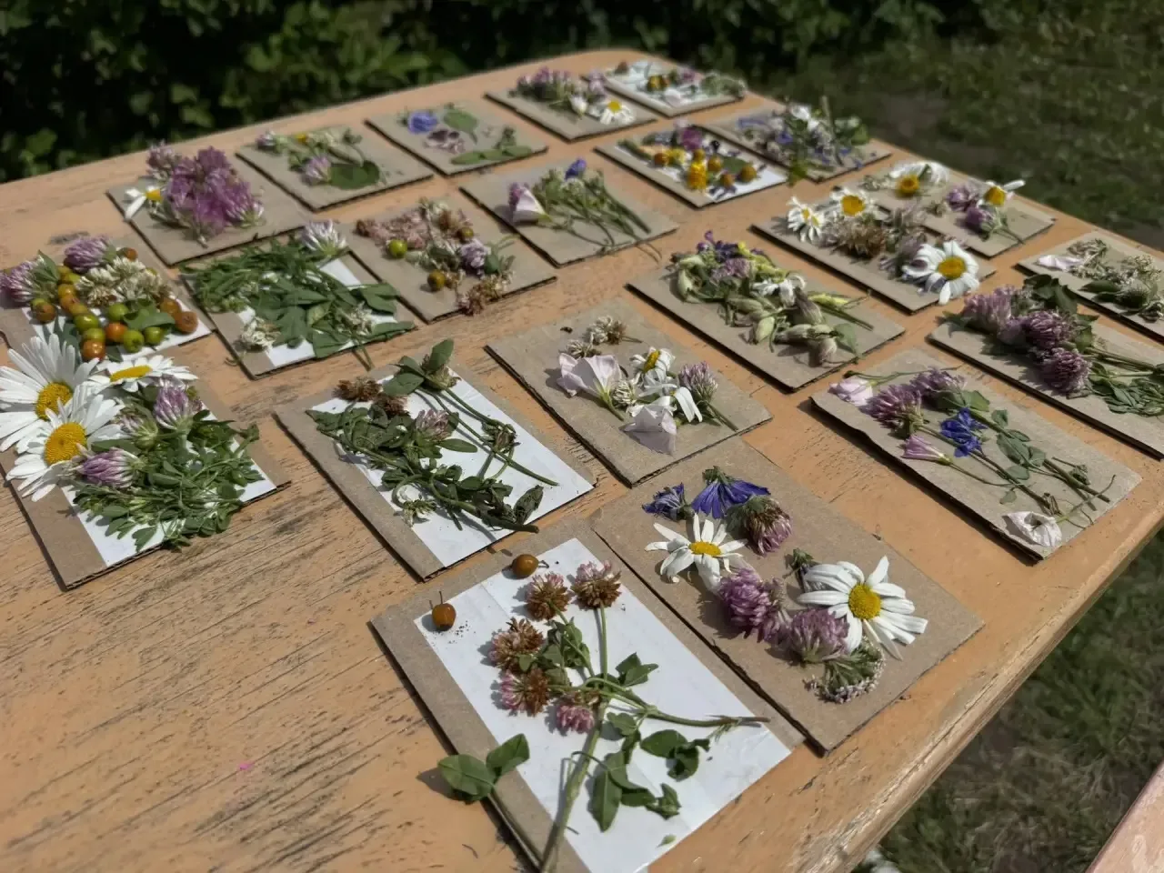 🌸 Мастерская флористики в детском саду: дошкольники подготовили «живые» подарки ко Дню семьи.

Восп