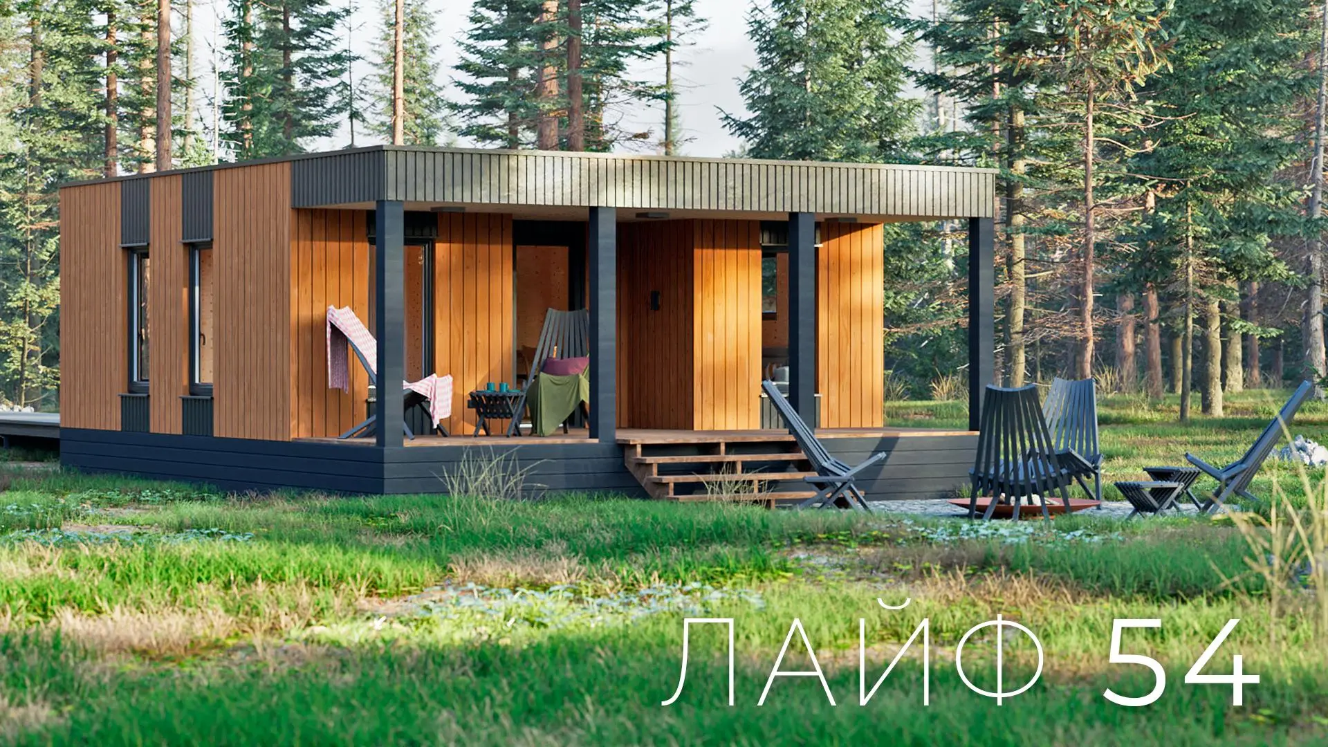 Проект ЛАЙФ 54 🏠