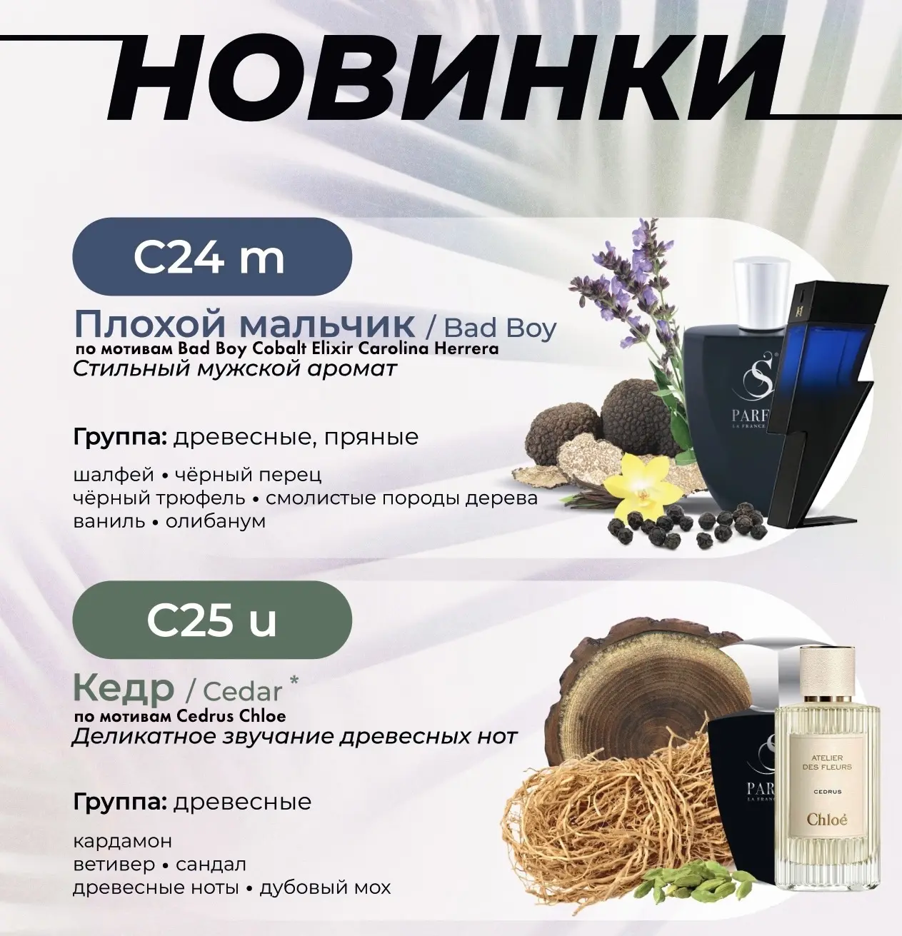 НОВИНКИ УЖЕ В МАГАЗИНАХ 🔥