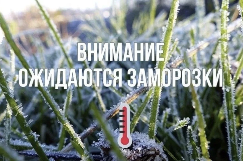 🥶 В Волгоградской области продлили предупреждение из-за заморозков