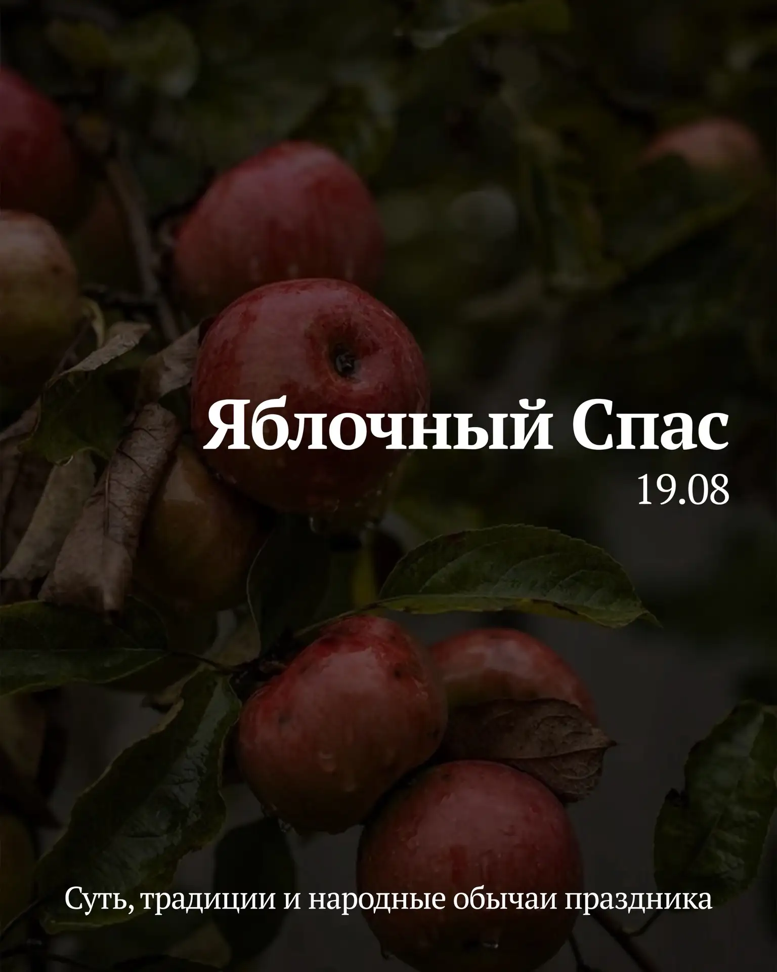 🍎19 августа - Яблочный Спас.