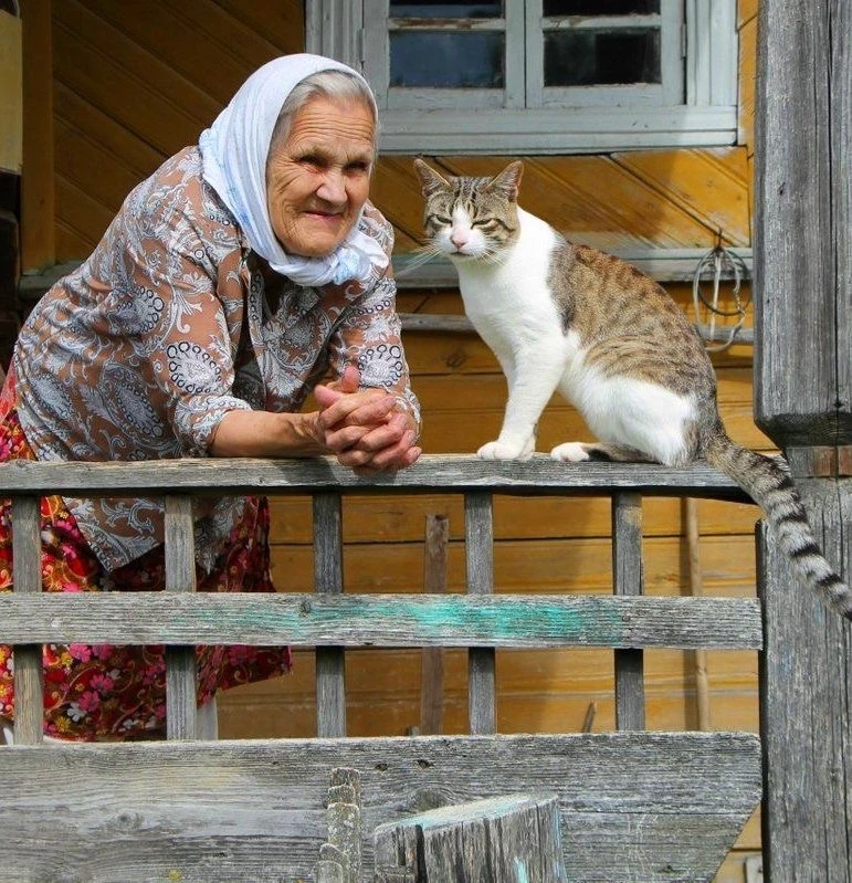 Моя бабушка, давно ушедшая в лучший мир, жила в деревне. В деревне без живности нельзя:...