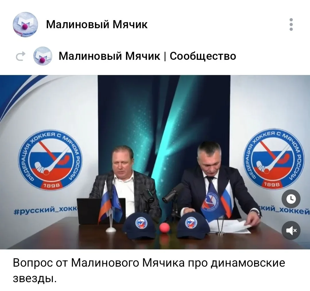 Теперь в ФХМР знают, кто такой Малиновый мячик, ведь анонимные вопросы не принимались. Ведь не прини